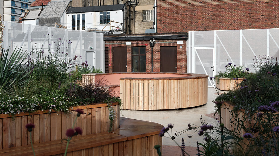 Photo-HS © Thomas Adank (8).jpg