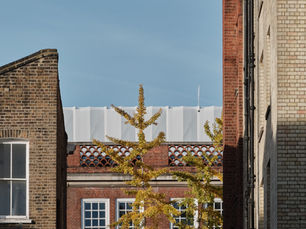 Rooftop Wellbeing Garden Completed at Halcyon School