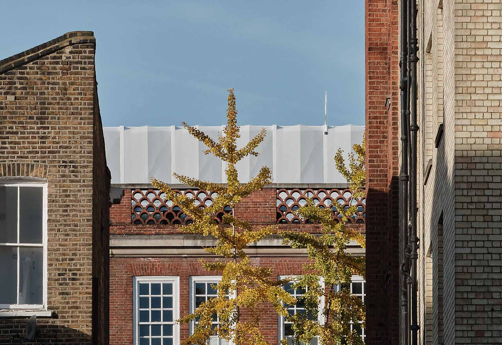 Photo-HS © Thomas Adank (2).jpg