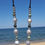 Thumbnail: Ocean Owl