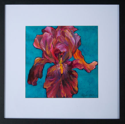 Iris collection, iris flower painting.