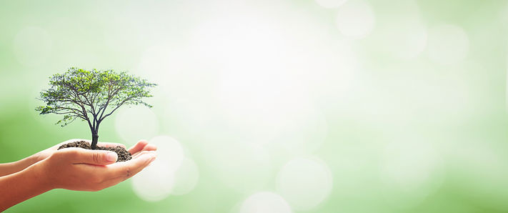 shutterstock_792410140.jpg