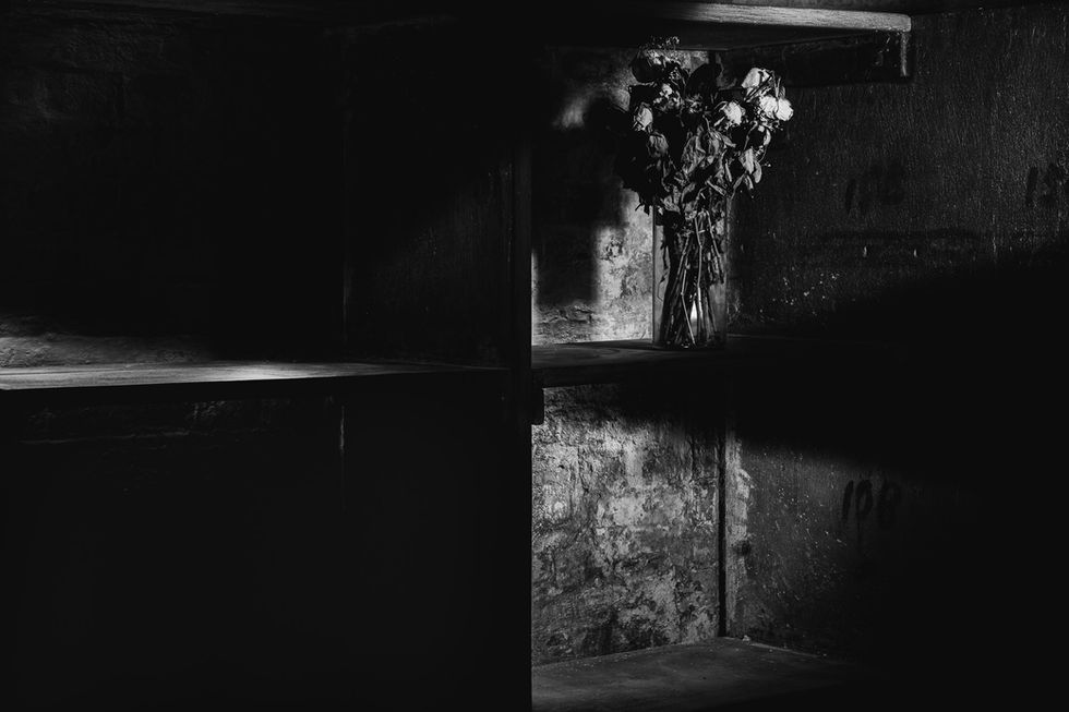 Black and white still life photograph of dead flowers framed on a shelf exploring decay and confinement, Street Shots Photography