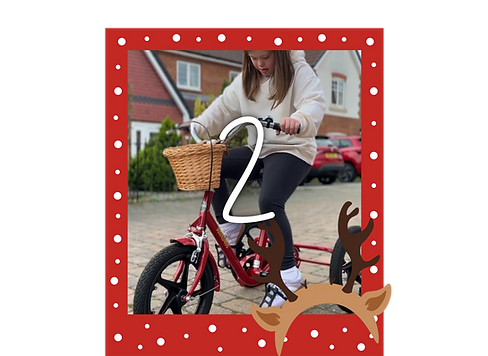 Christmas Appeal - Day 2 - Olivia Square.png