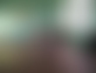 Школьный этап международного фестиваля "Соколёнок Донбасса"