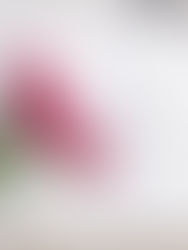 10 Signs That You've Lost Your Self Worth