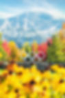 ADC06631-Edit-Edit-Edit copy Large.jpeg