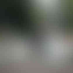 Entrée des mariés décalé et fun lors de la cérémonie laïque