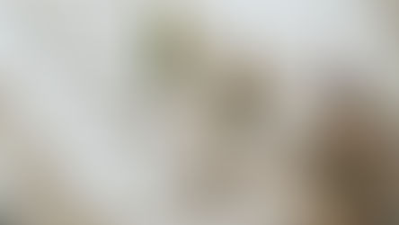 Les Tendances de la Photographie de Mariage en 2026
