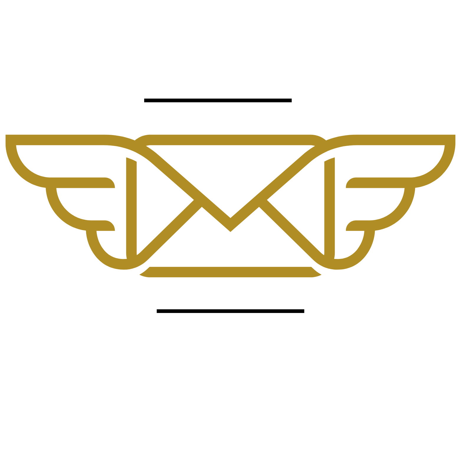 Blue Black Modern Fly Mail Logo.png