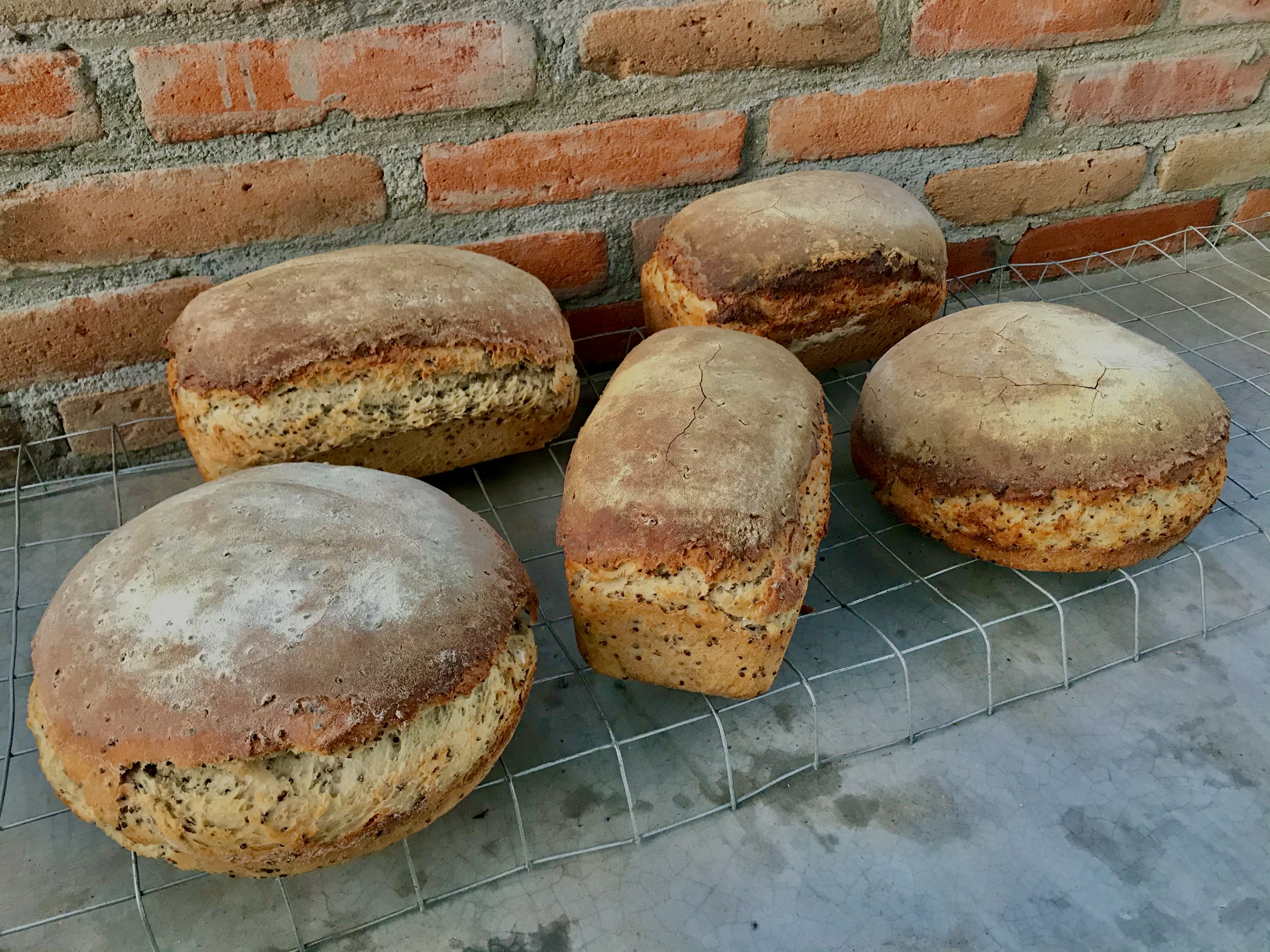 Arranged Food and Objects