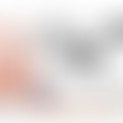 A Literary Heartbeat: The Authors’ Corner at INDIA PINKFEST