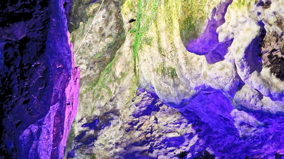 The devil's arse cave or peak cavern in derbyshire UK where ropes were made using simple hand machinery. Illuminated cave system in purple and green showing a single rope