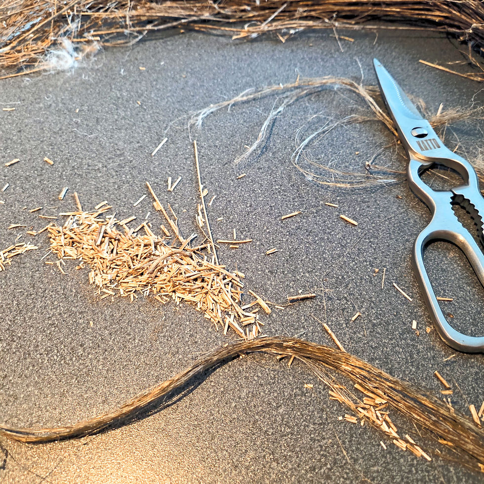 Home Grown Flax Fibres, Shive & Processing Experiments During Amanda Haran’s Derbyshire Textile Research Project