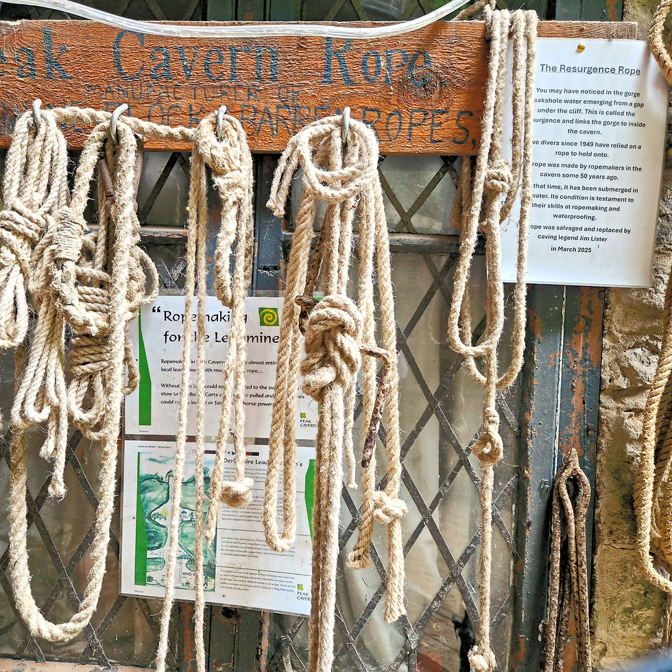 Examples of different types of rope hanging from hooks at the Peak Cavern Devils Arse Derbyshire UK for lead and other types of mining made with simple hand tools