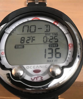 And then, narcosis set in ... #deep #rainbowreefdivecenter #padi #sdi #padimsdt.jpg