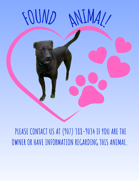 Animal Control.png