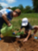 Tree Planting 1.png