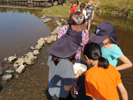 Part II: Rivers Are Perfect for Sustainability Education. Here's How.