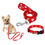 Thumbnail: Dog Neck Collar Belt for Dogs Between 2 Kg to 6 Kg (Multi Colors)