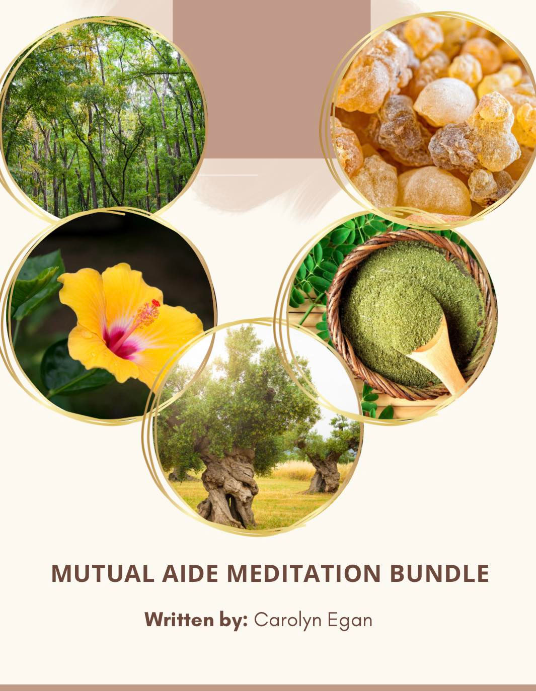 Mutual Aide Meditation Bundle