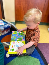 Early Toddler reading