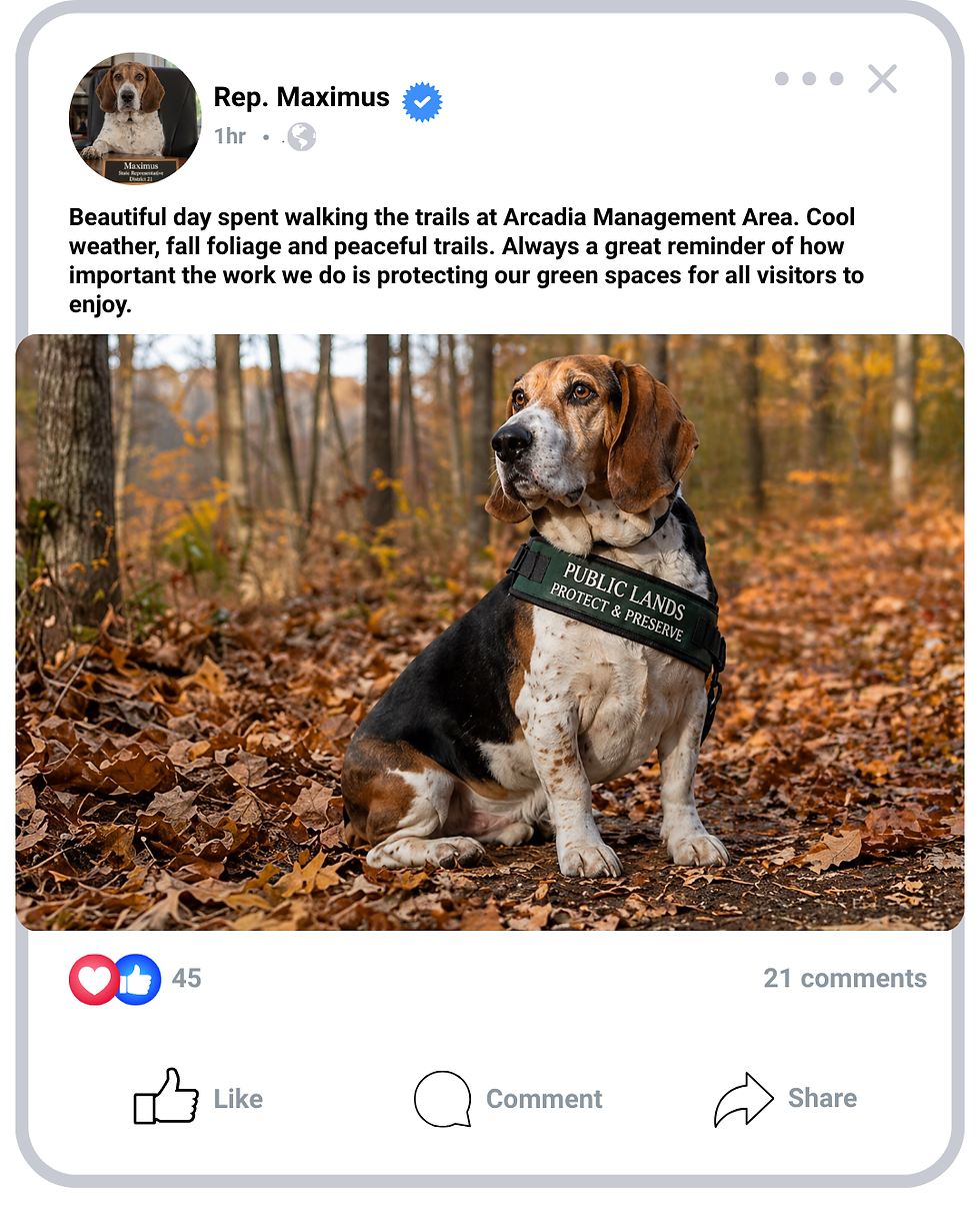 An Instagram post taken on a hiking trail during the fall of Rep. Maximus (a dog) enjoying the clear day.