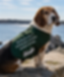 Rep. Max wearing a vest advocating for the environment while on rocks alongside the water. 