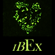 islet.png
