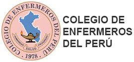 MISIÓN Y VISIÓN DE LA CARRERA DE ENFERMERÍA SEGÚN EL COLEGIO DE ENFERMERAS DEL PERÚ