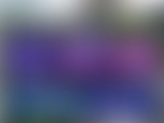 Grow: Eco-therapy Project Spring 2021 - now taking referrals