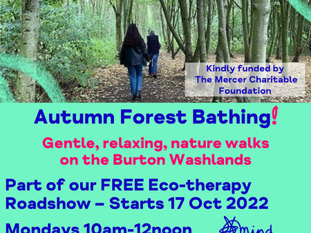 Autumn Forest Bathing