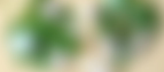 Conservantes Cosméticos | Qual o melhor: Natural x Sintético?