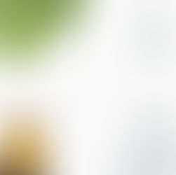 Óleos Vegetais x Óleo Mineral | Qual é o melhor para a beleza? Entenda as Diferenças!
