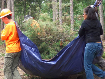 Slash Management Options