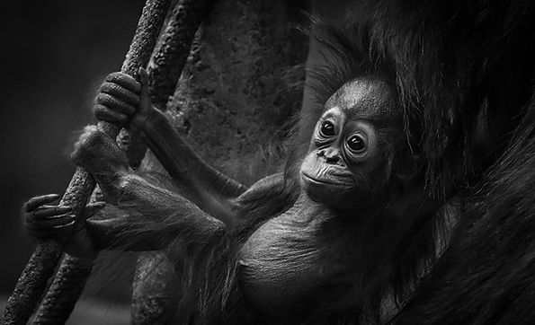 Just Hanging Around | Black & White Photography