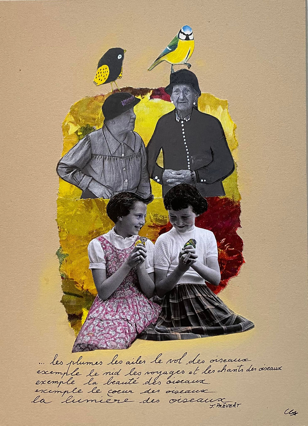 "La Lumière des oiseaux"