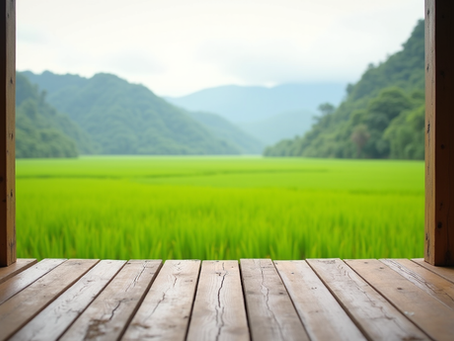 Unveiling Authentic Yoga Experiences in Vietnam