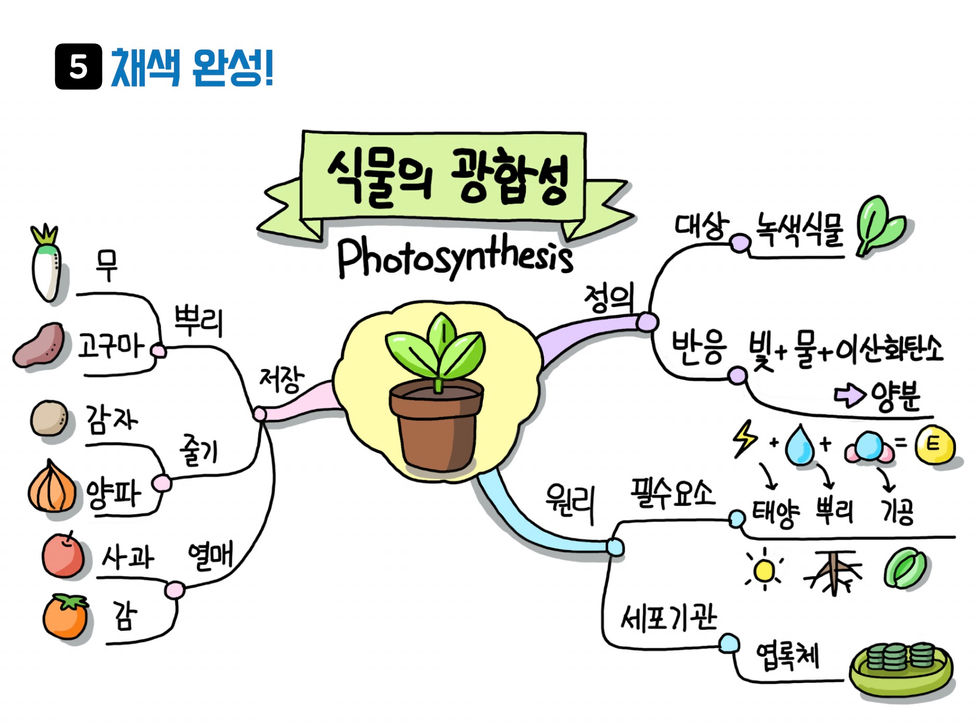 디지털 스케치노트 5