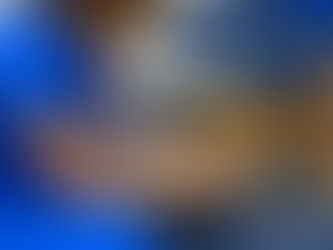 Discover the NIMBLE™ Clinical Assessment: A Comprehensive Approach to Your Dog’s Mobility