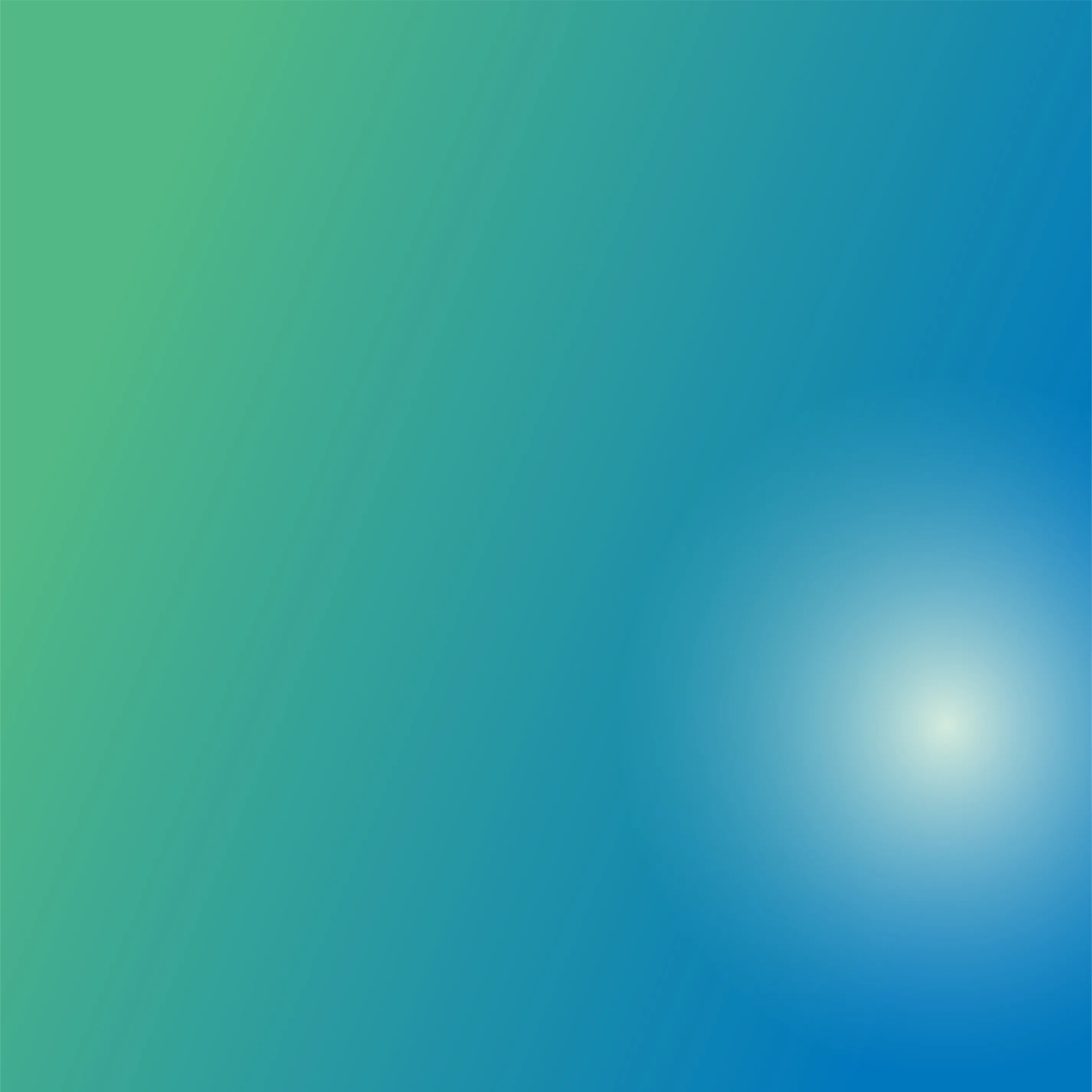 12.webp