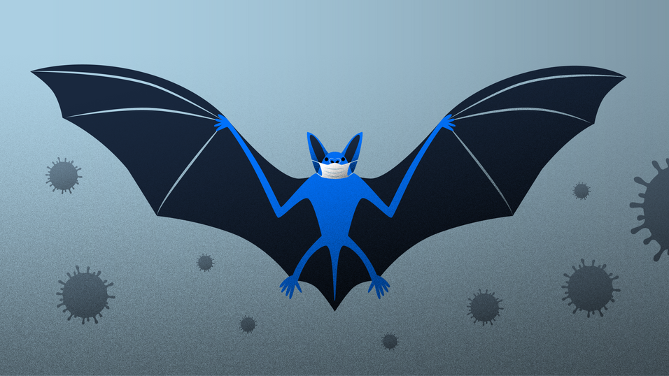 viirus_v004.png