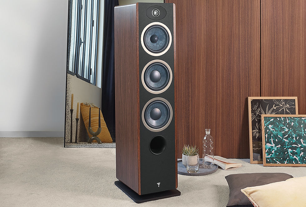 Миниатюра: Focal Vestia N2