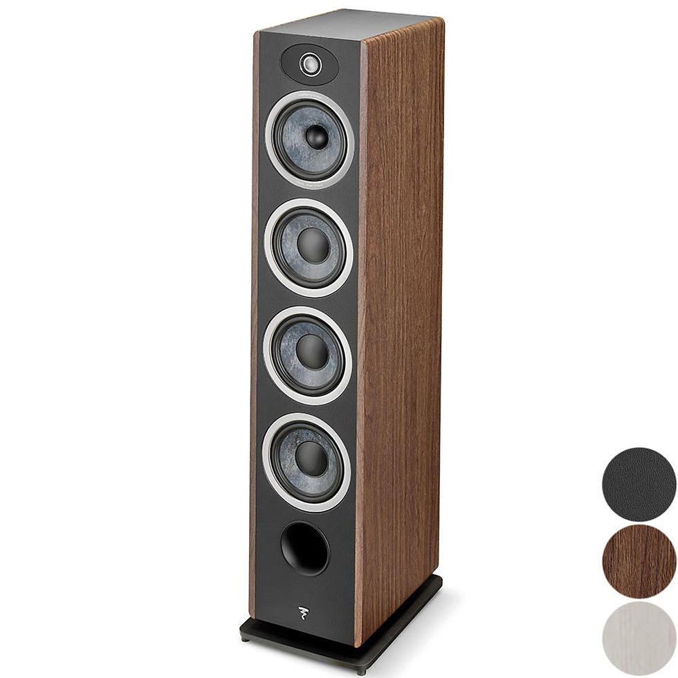 Thumbnail: Focal Vestia N3