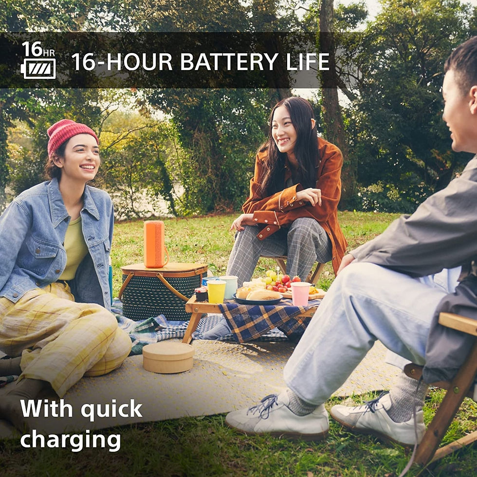 Thumbnail: Sony SRS-XE200 Portable Speaker