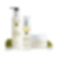 2025-fall-products_copy.webp.jpeg