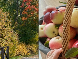 A gentle transition into fall