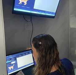 Rayos X Veterinario Universo Animal Texcoco