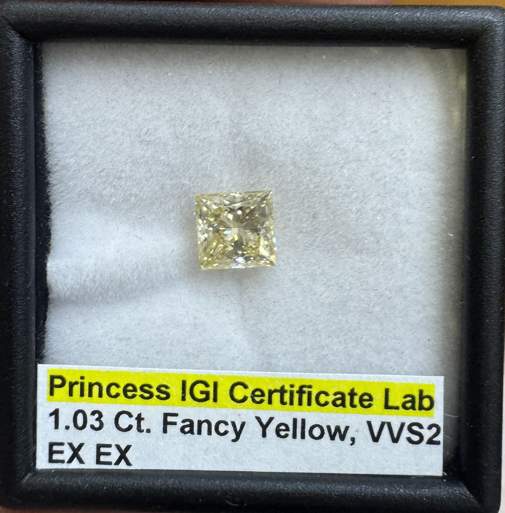 Princess IGI Certificate Lab