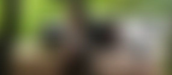 Kohler Andrea State Park - Wisconsin